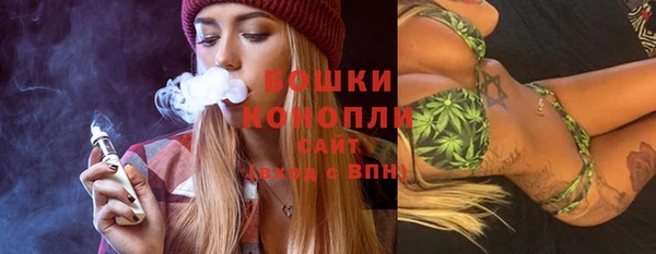 винт Ельня