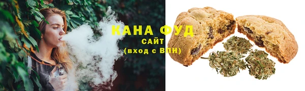 гидра Дмитров