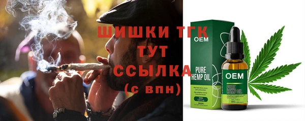 стаф Тутаев