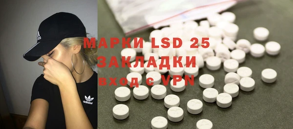 гашик Елизово