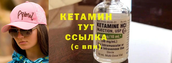 винт Ельня