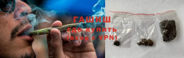 стаф Тутаев