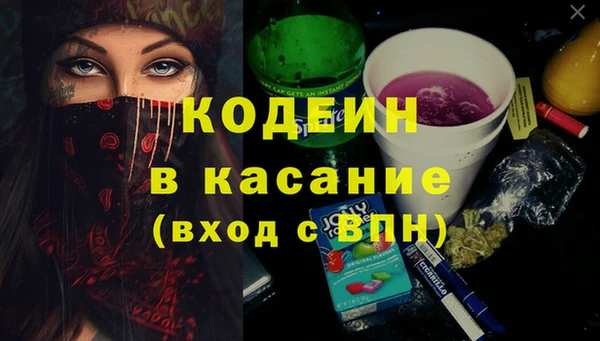 стаф Тутаев